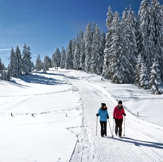 Winterwandern am Brüggelekopf (Alberschwende) ©Ludwig Berchtold (Bregenzerwald Tourismus)